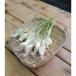 fu.... tax Miyagi prefecture Izumi pieces peak name production origin . garlic 100g×3 pack 