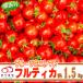 fu.... налог Shimotsuma город [ есть перевод ] Shimotsuma город производство ..-.! фрукты мини помидоры примерно 1.5kg( I mek культивирование . питание элемент . изобилие )