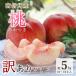 fu.... tax ... with translation [ south Shinshu production ] peach .. attaching approximately 5kg(10~18 sphere )[7 month last third ~8 month on . shipping expectation ]