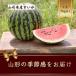 fu.... налог Yamagata префектура Yamagata префектура производство ...1 шар входить 7kg и больше большой шар . подлинный лето ..[. мир 8 год отправка ]