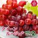 fu.... налог средний . город [2026 год отправка ] Nagano префектура рождение. новый виноград Queen rouge (R)2.(800g и больше ) средний . город из прямая поставка 