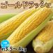 fu.... налог Kumamoto город кукуруза Gold Rush примерно 3.5~4kg[2027 год 6 месяц сверху . из 7 месяц средний . отправка предположительно ]( Kumamoto город )