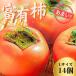 fu.... налог Ono-cho ....... Gifu. хурма [. иметь хурма ] L×14 шт превосходящий товар Gifu префектура Ono-cho (2026 год 11 месяц последняя декада ~ отправка )