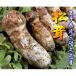 fu.... налог .. город .. производство натуральный сосна .[ есть перевод нестандартный товар ]300g