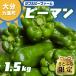 �ӂ邳�Ɣ[�� ��d�� �y���Ƃӂ����z�y��s��t�z�啪����d���Y �s�[�}�� ��1.5kg