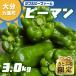 �ӂ邳�Ɣ[�� ��d�� �y���Ƃӂ����z�y��s��t�z�啪����d���Y �s�[�}�� ��3.0kg