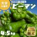 �ӂ邳�Ɣ[�� ��d�� �y���Ƃӂ����z�y��s��t�z�啪����d���Y �s�[�}�� ��4.5kg