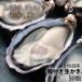 fu.... налог красный . город Samurai Gold склон . производство . имеется сырая устрица 50 шт 
