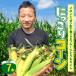 fu.... tax . south city [ trial ] melon .... raw corn *.... corn ~ 7ps.@H095-027