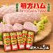 fu.... налог 7 . блок * Akira person ветчина подарок Akira person ветчина 5шт.@FMH-05