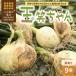 fu.... налог . юг город [ еда Roth снижение ] смех лицо . смех лицо . произведение .. Chan сельское хозяйство место. новый шар лук порей * шар смех Chan ~ 9 шт H095-030