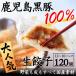 fu.... tax Minamikyushu city domestic production material . to be fixated Kagoshima black pig gyoza 120 piece 