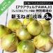 fu.... tax south ... city [ new sphere leek ].... safety brand certification special cultivation. sphere leek [..(... Tama )] 3kg