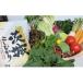 fu.... tax . block fresh vegetable . peak many &amp; Ibaraki prefecture production Koshihikari 5kg set 