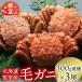 fu.... налог корень . город [ Hokkaido корень . производство ] шерсть ..300g передний и задний (до и после) ×3 хвост B-21005