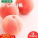 fu.... налог Fukushima город Fukushima. ..[ Sakura белый персик ] примерно 2kg[2026 год отправка предшествующий предварительный заказ ]No.1517