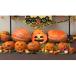 fu.... налог .. блок Halloween тыква [C24]