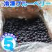 fu.... tax south canopy block Hokkaido south canopy block production freezing blueberry processing for 5kg 7 month last third .. shipping JA.... direct delivery 