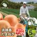 fu.... tax .. city [ translation have goods ] now . farm. Awaji Island onion 5kg[ size mixing S~2L]