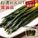 fu.... tax Kushiro city city line person garlic soy sauce .120g 3 sack set Hokkaido edible wild plants hi flying lower dog welsh onion F4F-2220