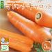 fu.... tax . south city with translation!.... meal ......![ Madonna Carrot ] 5kg carrot vegetable H105-084
