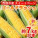 fu.... tax west city west city production morning .. sweet corn ( Gold Rush )7kg[2425]