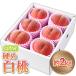 fu.... налог Yamagata город Yamagata производство ..[ белый персик ] превосходящий товар примерно 2kg (5 шар ~8 шар )[. мир 8 год производство ] FS24-083