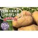 fu.... налог столица высшее блок [ есть перевод ] Hokkaido производство картофель (kita красный li) примерно 20kg гора рисовое поле сельское хозяйство место 