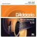 DADDARIO �A�R�[�X�e�B�b�N�M�^�[��   EJ10