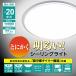 ���~�i�Z�[�uLED�V�[�����O���C�g Luminous LED�i���~�i�X�j LSR-B20DS ����11�i�K ���F11�i�K [20�� / �h�Ƃɕ֗��ȗ���ԃ^�C�}�[�@�\ /14000���[�����̖��c