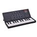 TAHORNG (USB MIDI контроллер ) складной FOL-KEY25