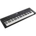 ROLAND �Żҥ����ܡ���  ����ե����� GOKEYS5-GT ��61���ס�