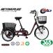 mimgo365no- punk три колесо велосипед L wine red MG-TRE20APNL ACTIVEPLUS трехколесный велосипед рассылка не возможно регион иметь производитель прямая поставка 