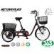 mimgo365no- punk три колесо велосипед L wine red MG-TRE20APNL ACTIVEPLUS трехколесный велосипед рассылка не возможно регион иметь производитель прямая поставка 