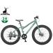  Captain Stag фэтбайк 268 Vintage зеленый 26 type 8 ступени переключение скоростей велосипед cycle зеленый YG-1405 производитель прямая поставка юридическое лицо только рассылка 