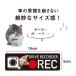 �h���C�u���R�[�_�[ ���� �� �L �X�e�b�J�[ �B�e�� �댯�^�]���� �V�[�� ������� �˂� �h�����H �G�� �h�����R �֘A�摜5
