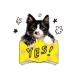 �yYES�z T�V���c �����Y ���f�B�[�X ���� T�V���c �˂� ������� �i�`�����e�B��揤�i�j �֘A�摜1