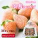 white strawberry . snow strawberry . snow strawberry . preeminence goods M~ 2L size designation un- possible 250g × 2 pack Hyogo prefecture Awaji Island .. strawberry pack cake gift birthday gift present 