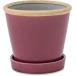 poshu living 30741g Rossi - pot black currant 13.5×13.5×13cm