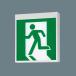 �p�i�\�j�b�N �U���� �{�̂̂� �Жʌ^ ��ʌ^ �i20���ԁj �\���ʔ� �V��E�ǖʒ��t�^ C�� LED FA10312CLE1