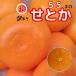  супер есть перевод . или 5.5 kilo не комплект не выбор другой Ehime мандарин .. мандарин большой .. Hachiman .. фрукты 