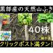 2[ Kanto Koshinetsu бесплатная доставка ] чёрный часть производство * натуральный . сырой *.*fki* Fuki no Tou * крепкий . земля внизу стебель *40 АО *...... возможность!
