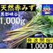 [ бесплатная доставка ]( Kanto Tokai Kinki Hokuriku Shinetsu ) чёрный часть производство натуральный красный ..miz1000g