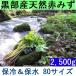 [ бесплатная доставка ]( Kanto Tokai Kinki Hokuriku Shinetsu ) чёрный часть производство [ futoshi .. длинный ] натуральный красный ..miz охлаждающие средства 80 размер 2,5kg