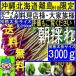 A[ чёрный часть производство ] Okinawa, Hokkaido, отдаленный остров есть близко ограничение!. вода мойка. натуральный красный ..3kg[ прохладный 80 размер бесплатный ] Okinawa, Hokkaido, отдаленный остров есть близко. все .