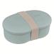 THERMOS �T�[���X �t���b�V�������`�{�b�N�X 570ml �d�q�����WOK �H��@�Ή� DJV570SRA