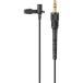  Sony ECM-L1labe задний микрофон 