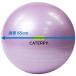 CATERPY CF-010 фитнес мяч 65cm violet 