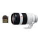 �\�j�[ SEL100400GM �����p�����Y FE 100-400mm F4.5-5.6 GM OSS