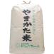 [ rice flour ] Yamagata prefecture production Koshihikari 100% inside capacity 25 kilo * order received from made flour . shipping 